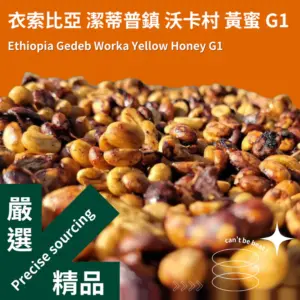 衣索比亞 🇪🇹 潔蒂普鎮 沃卡村 黃蜜 G1