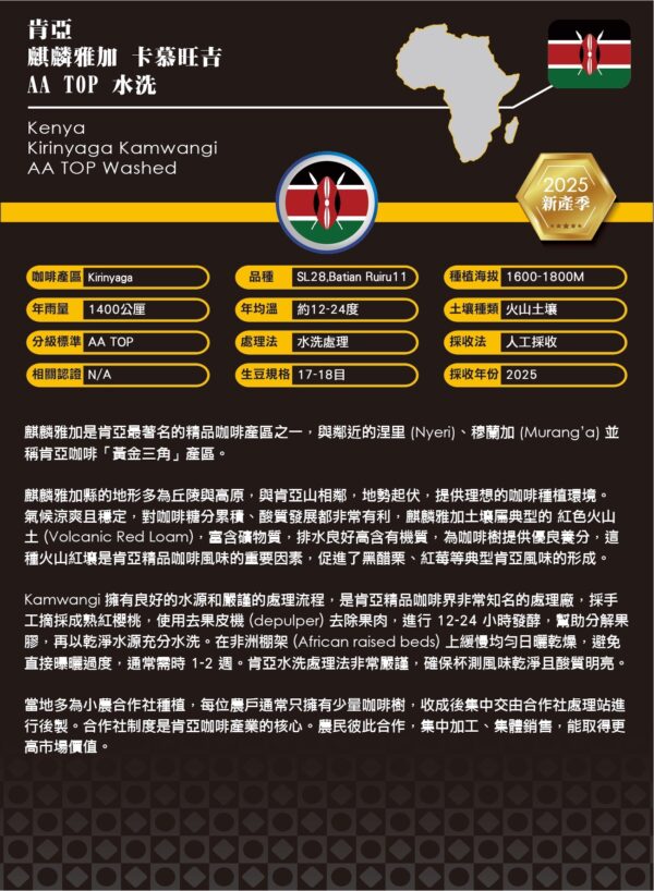 肯亞 🇰🇪 麒麟雅加 卡慕旺吉 AA TOP