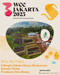 衣索比亞 🇪🇹 西達馬 班莎鎮 聖塔維尼村 斑鳩處理廠 黑蜜 G1